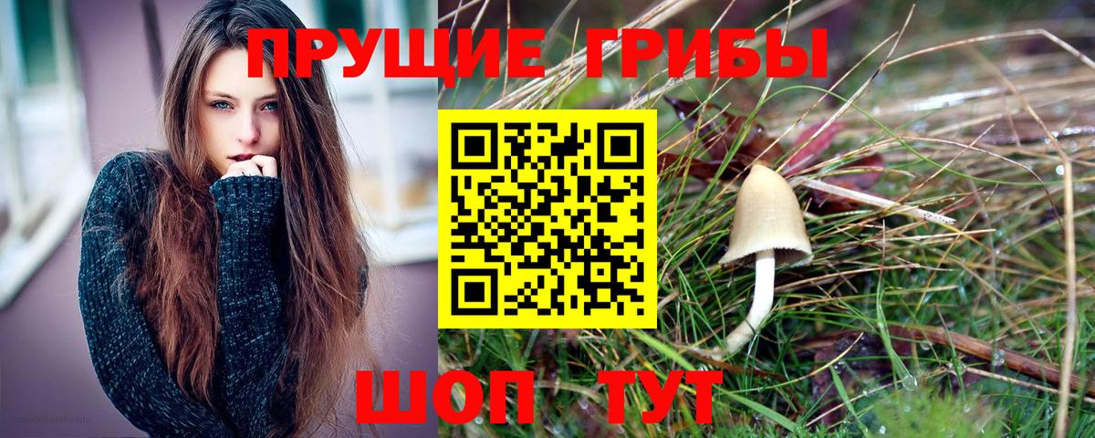 Гагарин  Галлюциногенные грибы GOLDEN TEACHER  купить наркотик  Вход с VPN 