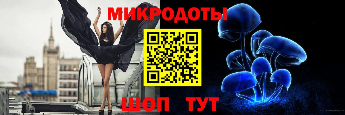 Псилоцибиновые грибы мицелий Гагарин